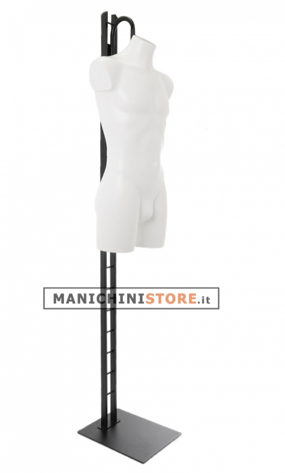 Male torso bust with ladder base with neck attachment - white