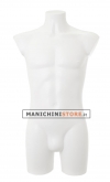 Male torso bust in white plastic