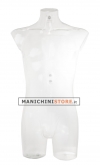 Male torso bust in transparent plastic