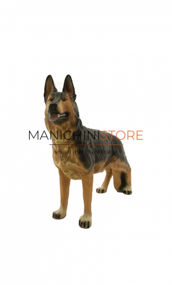 German Shepherd Dog for shop window display - REALISTIC