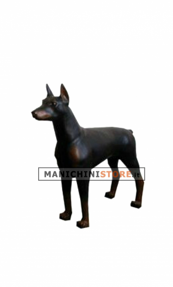 Cane Doberman per allestimento vetrina - REALISTICO