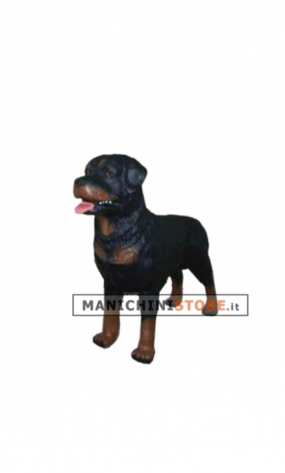 Cane Rotweiler per allestimento vetrina - REALISTICO