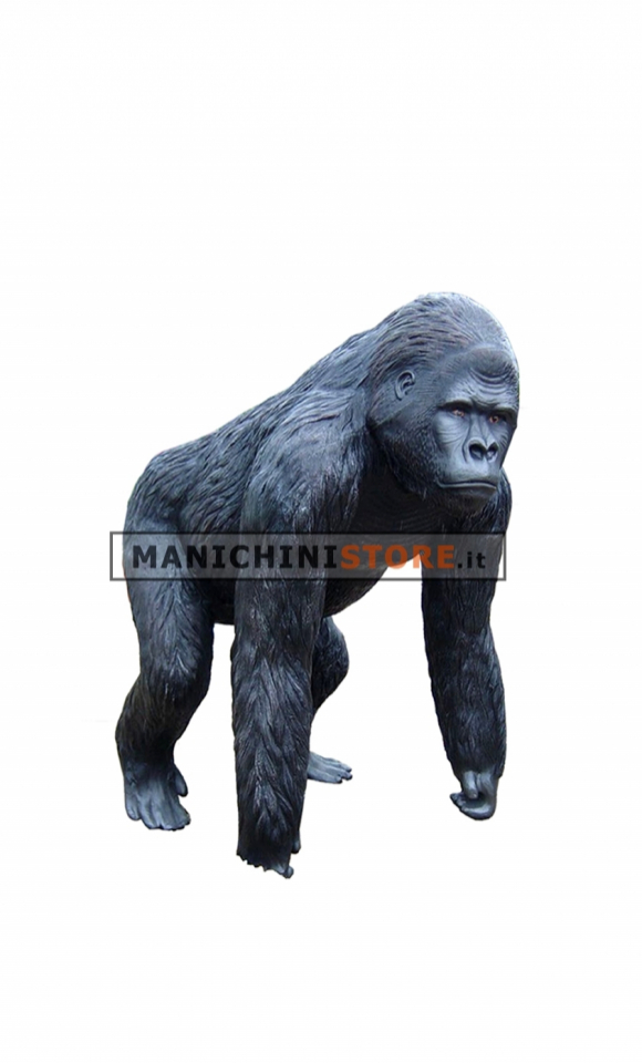 Gorilla for shop window staging - REALISTIC